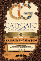 Caesar's Sunny Symphony Single Origin Whole Bean Coffee - 12oz (compostable)