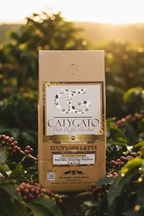 Lucy's Latin Latte - Small Label on Kraft Bag